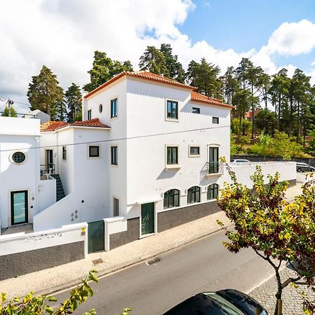 Forest Villas - Guest House Leiria Exteriör bild